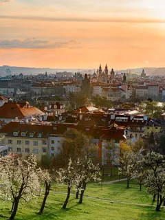 Bílé a hnědé betonové budovy během dne